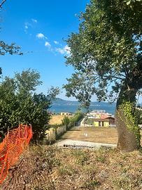 TERRENO AGRICOLO - Via del Lago - Bracciano