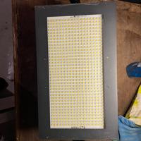 Cameo thunder wash 600 W