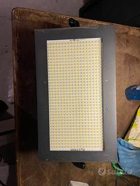 Cameo thunder wash 600 W