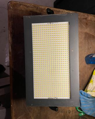 Cameo thunder wash 600 W