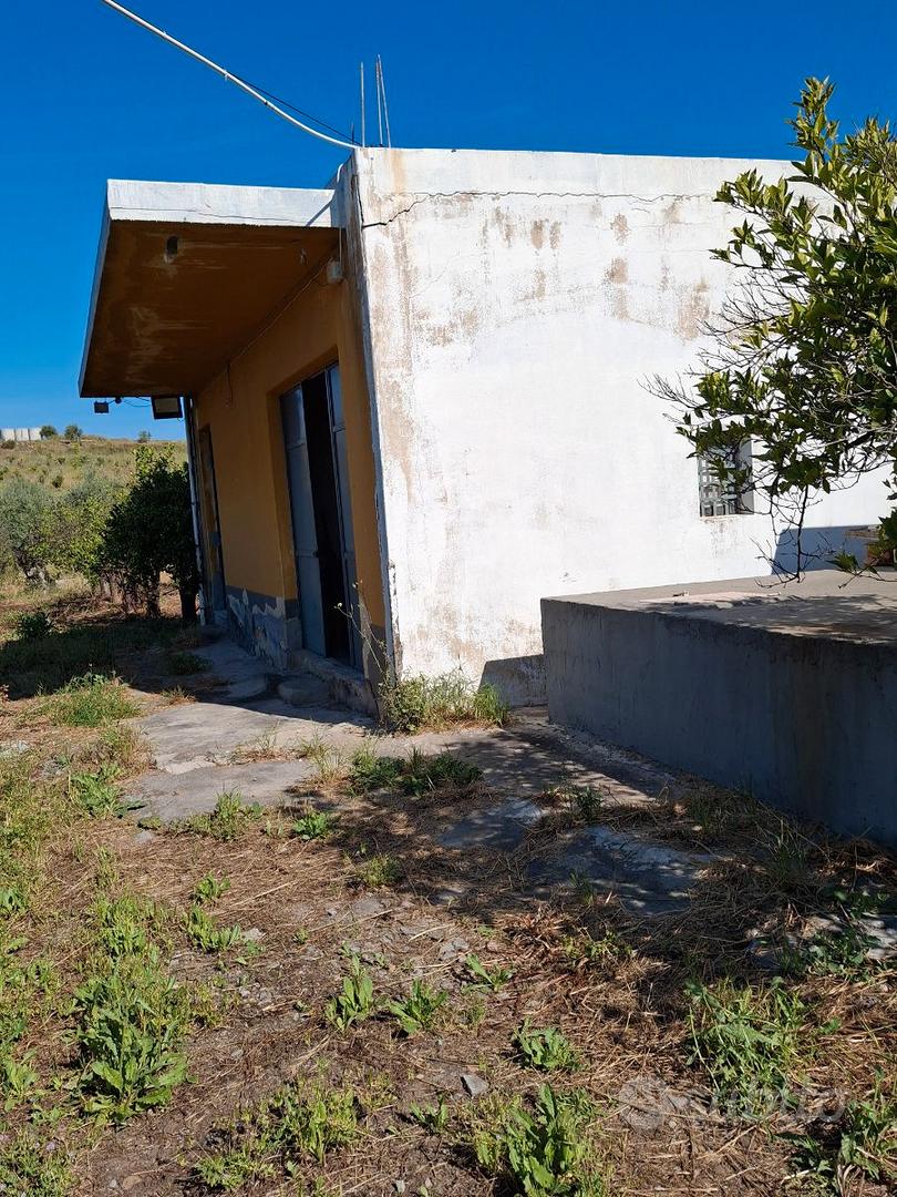 Terreno agricolo con annessa casa. - Vista 2