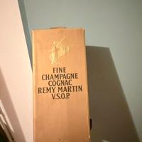 Shampage Cognac