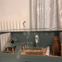 Gabbia per roditori, criceti, cincilla, topi