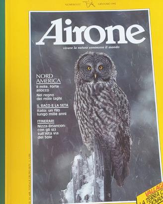 AIRONE anno 1991  - 12 numeri + 2 speciali