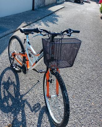 Bicicletta Donna Bandiziol