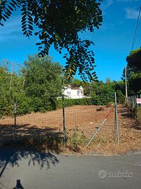 Terreno agricolo