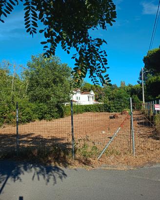 Terreno agricolo Ronchi non edificab
