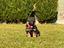 Immagine 4