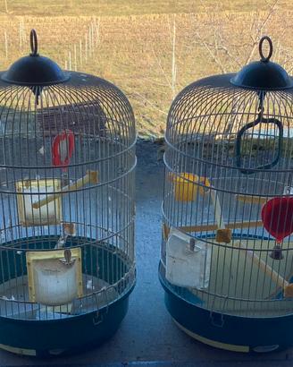 GabbIia per uccelli vintage.