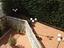 Immagine 7