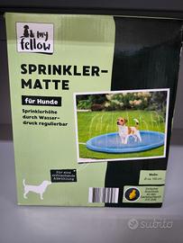 piscina per cani con getti d acqua 