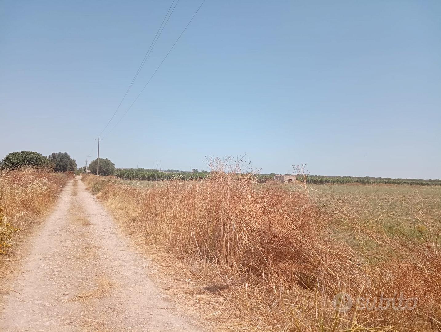 Terreno agricolo mq 22000 a km 1,5 dal mare - Altro