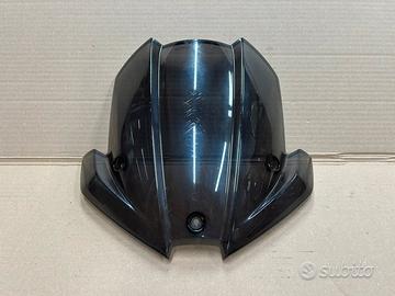 Cupolino plexiglas Triumph Speed Triple 1050