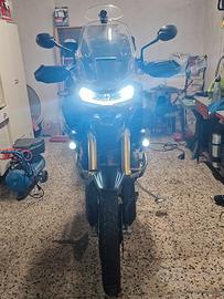 Triumph Tiger 1200 - 2022