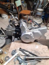 motore pit bike 