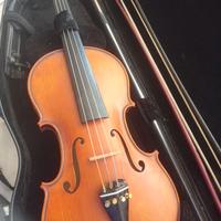 Violino 4/4 Liuteria
