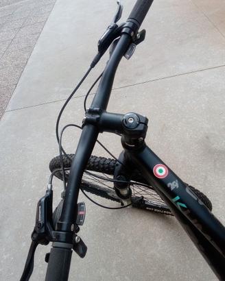 Mountain bike