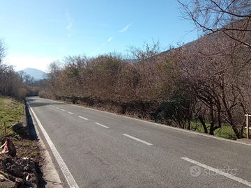 Terreno verde sormano como