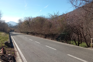 Terreno verde sormano como