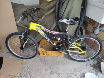 Mountain bike 24