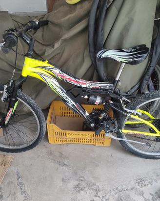 Mountain bike 24