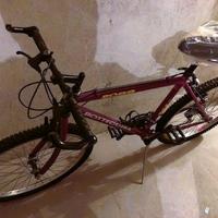 MTB Bottecchia