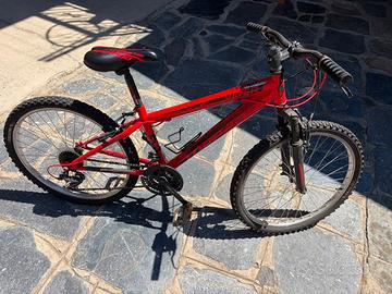 BICICLETTA TORPADO