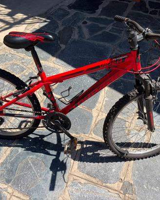 BICICLETTA TORPADO
