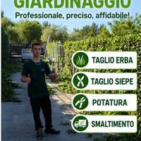Candidato cura del verde , giardinaggio