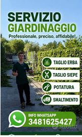 Candidato cura del verde , giardinaggio