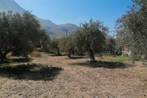 Terreno edificabile zona residenziale