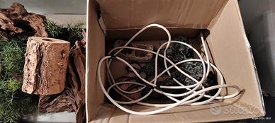 terrario e accessori 