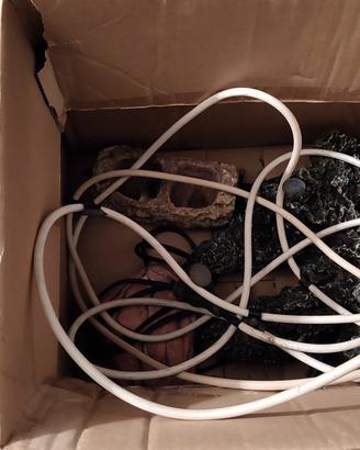 terrario e accessori 