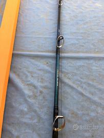 canna daiwa gouin bull anno 2023