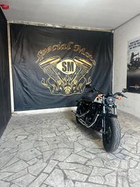Harley-davidson 1200 Sportster Forty-Eight
