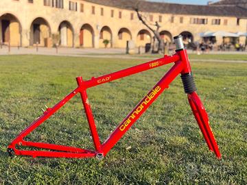 Cannondale F800 SL CAAD2 1998 Fatty M