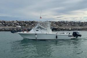 wellcraft barca Baha Cruiser Americana