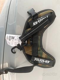 Pettorina S Julius K9