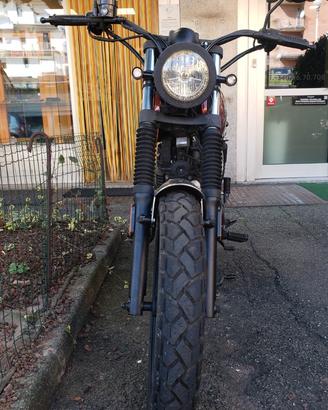 Brixton Saxby 250 - 2021