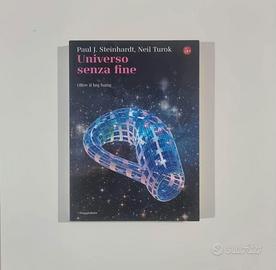 Universo senza fine - Steinhardt Turok (2008)