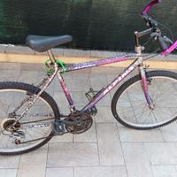 Mountain bike uomo Alpina 