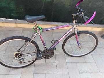 Mountain bike uomo Alpina 