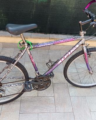 Mountain bike uomo Alpina 