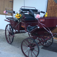 Carrozza