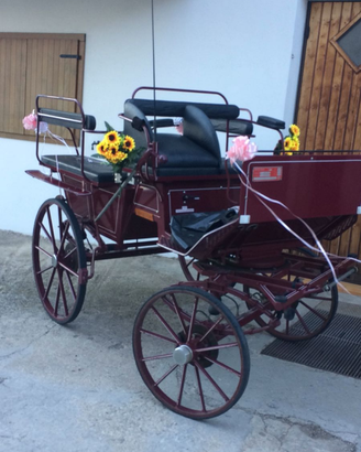 Carrozza