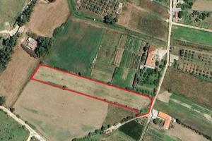 Orosei : Terreno agricolo ad Orosei Loc. Truccuris