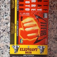 concerto Litfiba terremoto tour