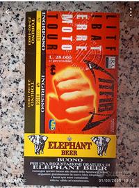 concerto Litfiba terremoto tour