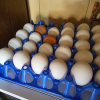 Materiale per incubazione