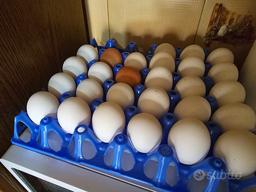 Materiale per incubazione